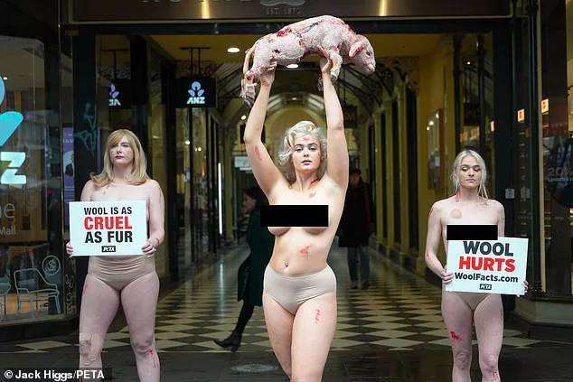 PETA Pushes for Redefinition of 'Wool' to Include Plant-Based Alternatives