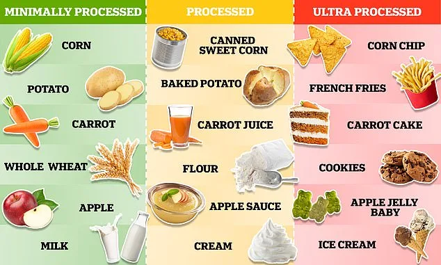 The Carbohydrate Myth: Processed Foods, Not Whole Grains, Are to Blame