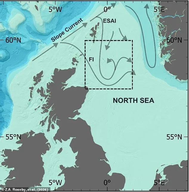 Scampi's Hidden Climate Cost: How Bottom Trawling Threatens Marine Ecosystems