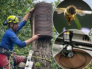 British Honey Found Contaminated with Prescription Medicines, Study Reveals