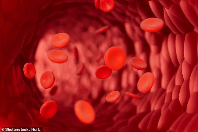 Ultra-Marathons May Cause Red Blood Cell Damage Similar to Aging, Study Shows