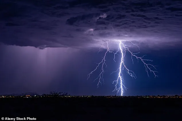Surviving Lightning Four Times: A Story of Unyielding Resilience