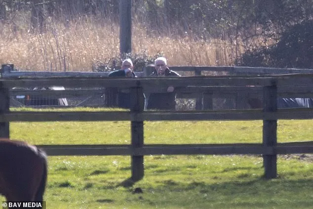 Andrew Mountbatten-Windsor Defies Alleged Riding Ban on Sandringham Estate Amid Epstein Controversy