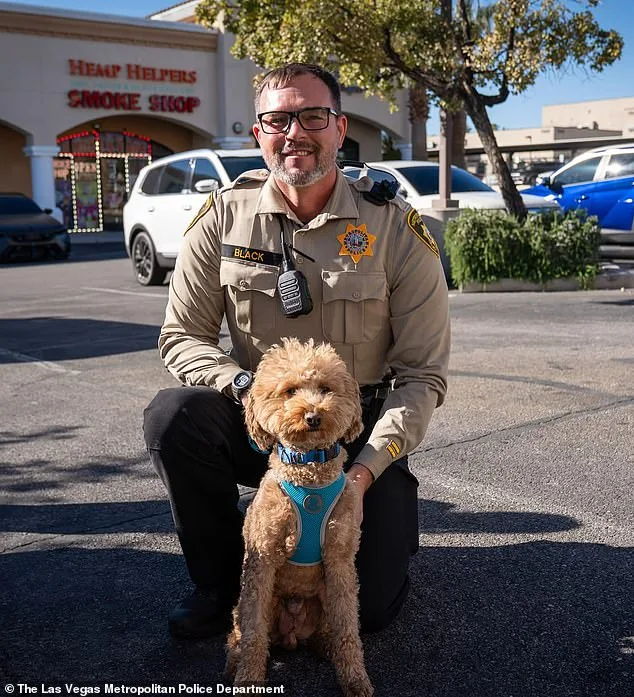 Bench Warrant Issued for Woman Who Abandoned Dog at Las Vegas Airport