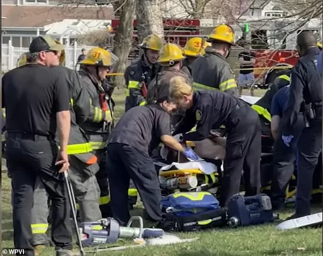 Philadelphia Flight Instructor and Student Pilot Survive Dramatic Tree Crash After Emergency Landing