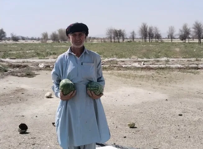 Solar Power Reshapes Pakistani Rural Life as Energy Crisis Drives Adoption Surge
