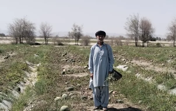 Solar Power Reshapes Pakistani Rural Life as Energy Crisis Drives Adoption Surge