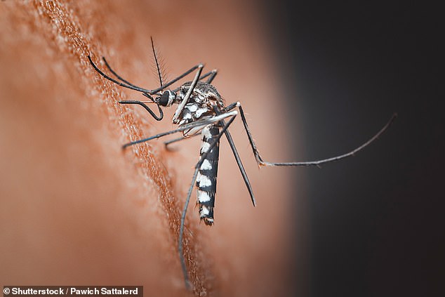 Climate change expands Chikungunya virus risk to Europe and North America.