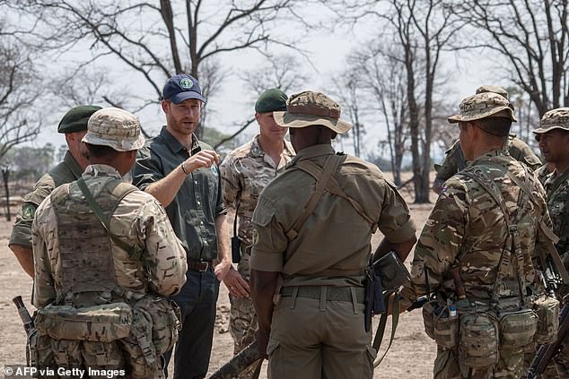 Prince Harry faces pressure to resign from African Parks over human rights allegations.