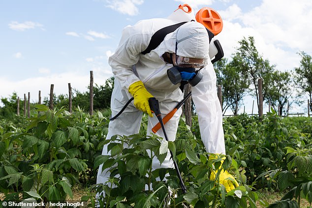 Vermont becomes first state to ban paraquat pesticide by 2030.