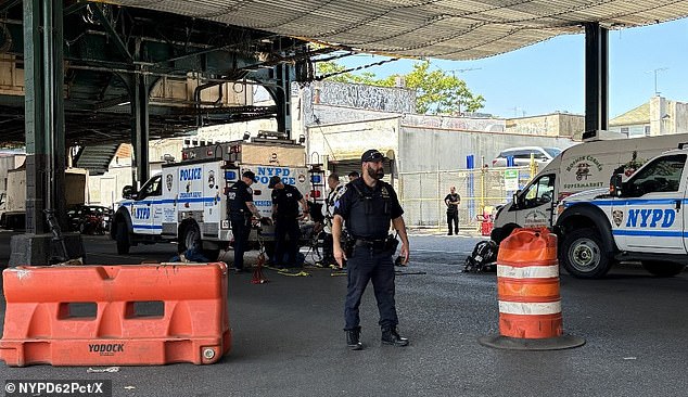 Seven men emerge from Brooklyn sewer system, sparking police lockdown